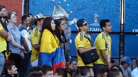 World cup fans Stock Footage 120269066