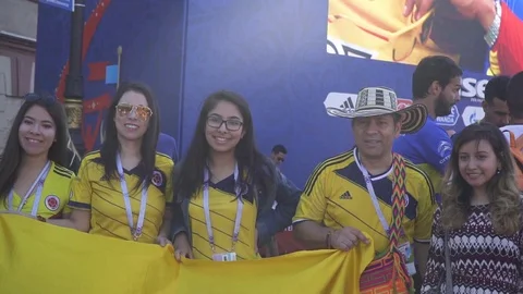World cup fans Stock Footage 120269077