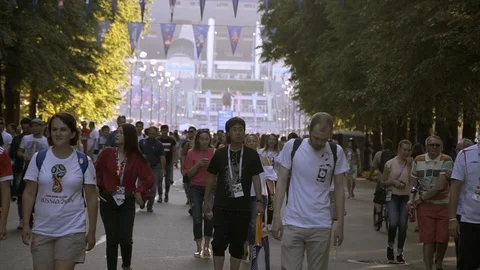 World cup fans Stock Footage 120269085