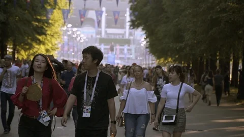World cup fans Stock Footage 120269093