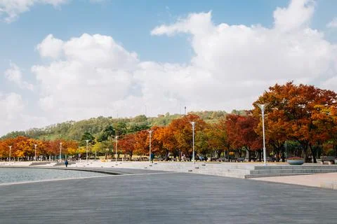 World Cup Park, Pyeonghwa park at autumn in Seoul, Korea Stock Photos