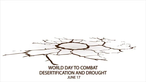 World day to combat desertification and drought cracked soil Stock Footage 197803279