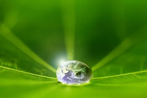The world in a drop of water Stock Photos