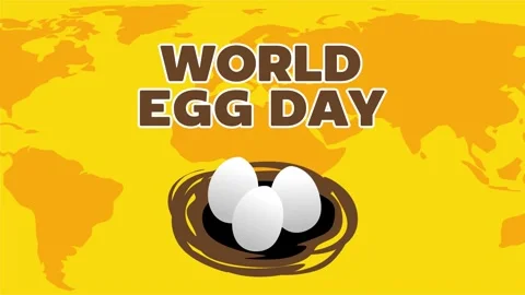 World Egg Day Vídeo Stock 306994438