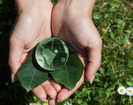 World environment concept Stock Photos