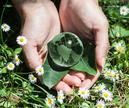 World environment concept Stock Photos