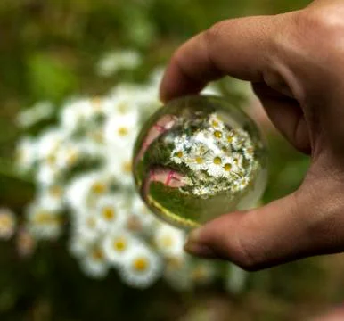 World environment concept Stock Photos