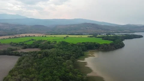 World Environment Day in Colombia Stock Footage 277770569