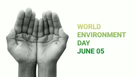 World Environment Day concept Video stock 240911239