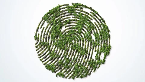 World Environment day concept Stock Footage 293491552