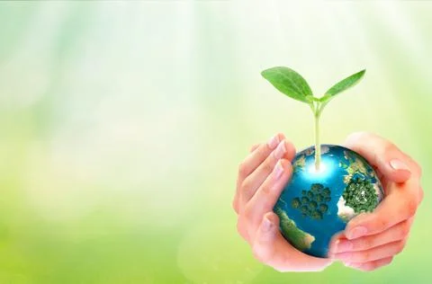 World environment day concept: human hands holding big growth plant and earth Stock Photos