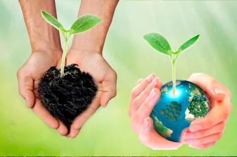 World environment day concept: Two human hands holding earth globe and heart  Stock Photos