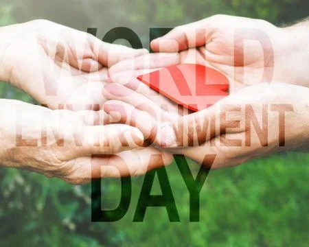 World Environment Day text, green sprout, white background. Stock Photos