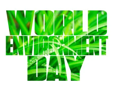 World Environment Day text, old and young hands, green sprout, white background. Stock Photos