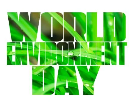 World Environment Day text, old and young hands, green sprout, white background. Stock Photos