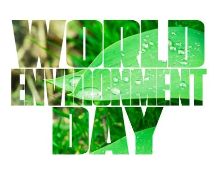 World Environment Day text, old and young hands, green sprout, white background. Stock Photos