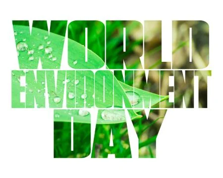 World Environment Day text, old and young hands, green sprout, white background. Stock Photos