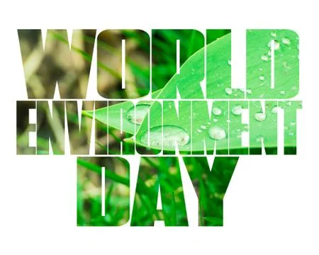 World Environment Day text, old and young hands, green sprout, white background. Stock Photos