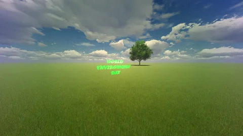 World environment day video, single tree on a meadow, 4K Stock-Footage 166602433