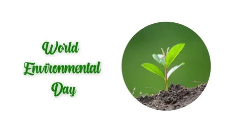 World Environmental Day Animation Background Stock Footage 194884863