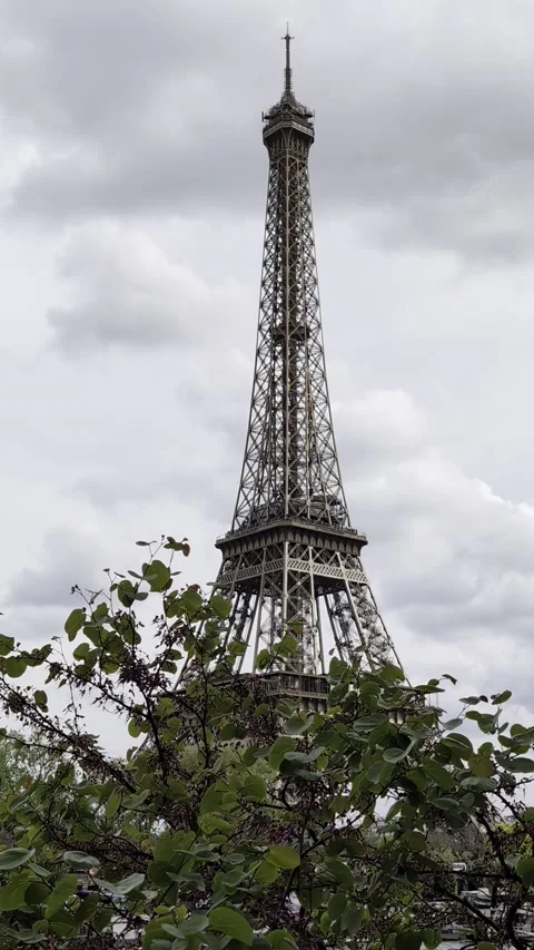 World-famous Eiffel Tower against a cloudy sky. Foreground of soaring foliage. Stock Footage 303230304