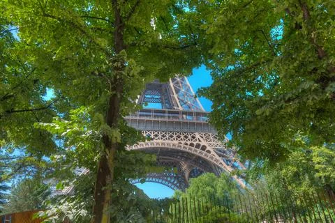 World famous Eiffel tower seen through some green trees Fotos de archivo