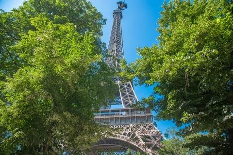 World famous Eiffel tower seen through green trees Fotos de archivo