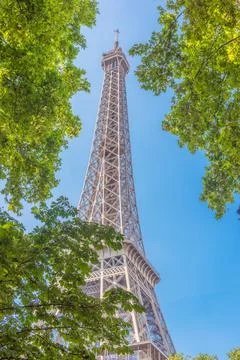 World famous Eiffel tower seen through green trees under a blue sky Fotos de archivo