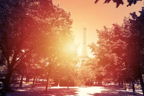 World famous Eiffel tower at sunset in Paris 写真素材