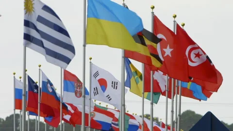 World Flags Blowing in the Wind Stock Footage 141205080