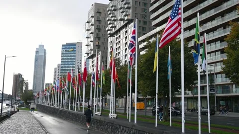 World flags on the flagpole. Flags of the countries of the world. Stock Footage 308301925