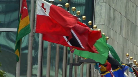 World Flags in front of United Nations Building Stock Footage 41233814