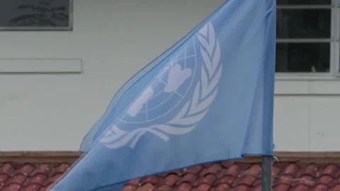 World Food Programme suffers reduction in funding and appeals for donations, Pan Video stock 311391606