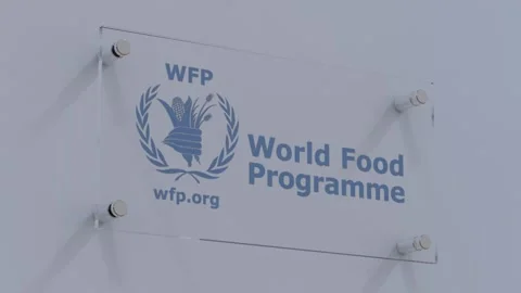 World Food Programme WFP Distorted Flag Logo on Textured Glass Surface Vidéo 253553477