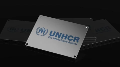 World Food Programme WFP logo Illustrative 3D Animation Captivating Video stock 262022522