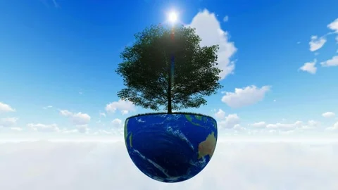 World Forestry Day Celebration Video stock 301726170