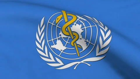World Health Organization Flag Loop Stock Footage 241275914