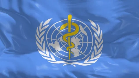 World Health Organization(WHO) Flag in a 3D animation Stock Footage 249616632