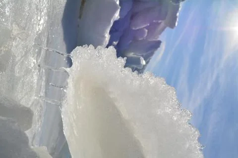 A world of ice 스톡 사진