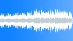 A World Of Illusion (30 sec end) Stock Music