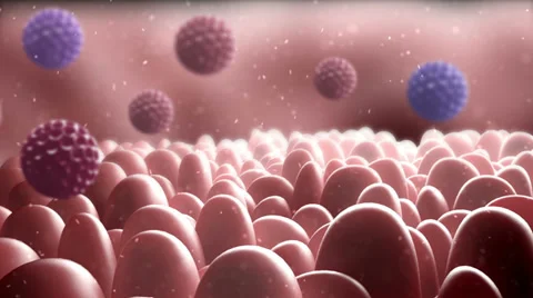 The world inside Stock Footage 32008560