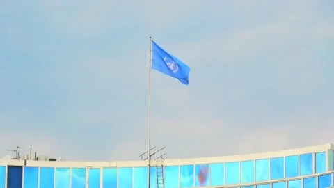 World Intellectual Property Organization flag Stock Footage 140721468