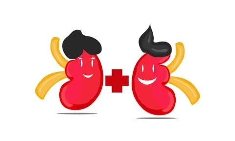 WORLD KIDNEY DAY Stock-Illustration