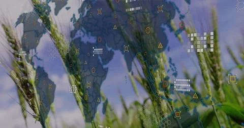 World map and data processing animation over agricultural field with wheat 库存影片 305829533