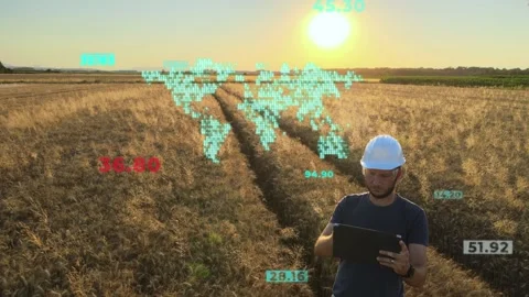 World map animation with scanning wheat field. Smart precise farming concept 库存影片 253486192