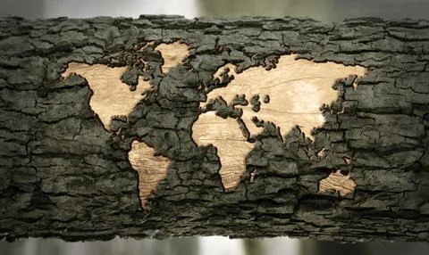 World map carved in the bark Stock Illustration