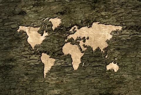 World map carved in the bark Stock Illustration