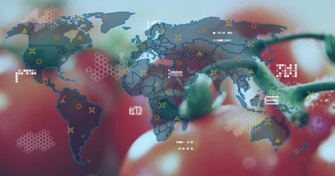 World map fading in over tomato cluster, adding layers, lighting nodes, Stock Footage 321377945