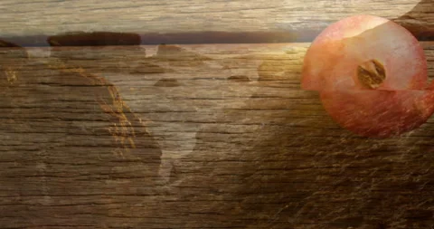 World map overlay on wooden texture with pomegranate showcasing animation Stock Footage 305834876