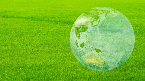 World map rotate on the green field, save environment, ecology afforestation, 스톡 동영상 145514249